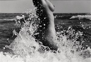 Image description is not available for 2010.029